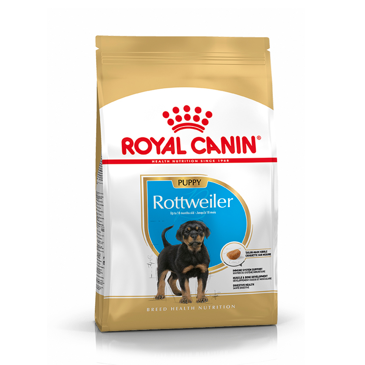 ROTTWEILER JUNIOR