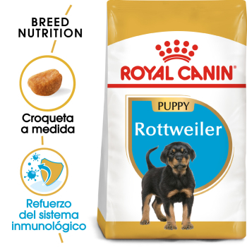 ROTTWEILER JUNIOR - 1