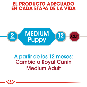 MEDIUM PUPPPY CAJA 10U - 5