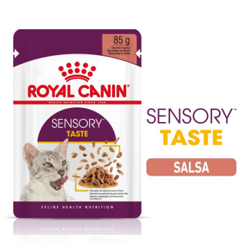 SENSORY TASTE GRAVY CAJA 12U - 2