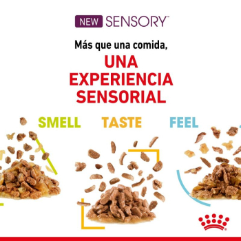 SENSORY TASTE GRAVY CAJA 12U - 4