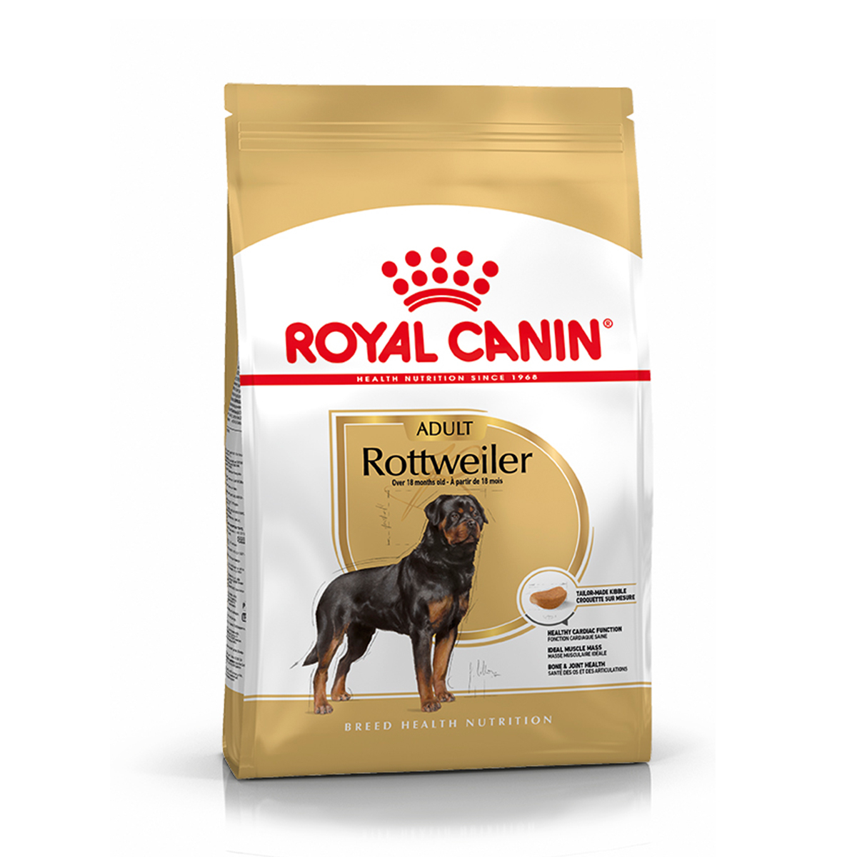 ROTTWEILER ADULT
