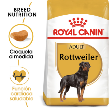 ROTTWEILER ADULT - 1
