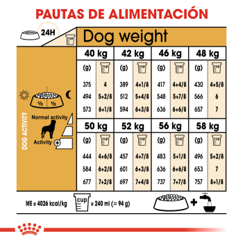 ROTTWEILER ADULT - 5