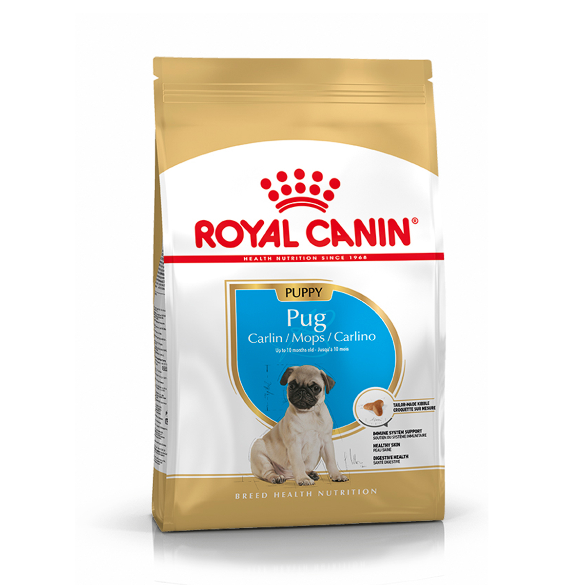 PUG JUNIOR