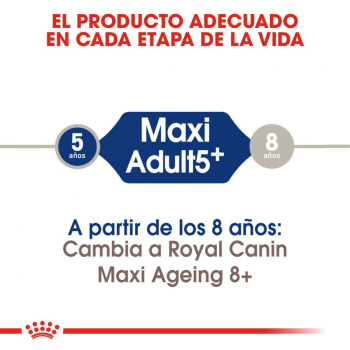 MAXI ADULT +5 - 3