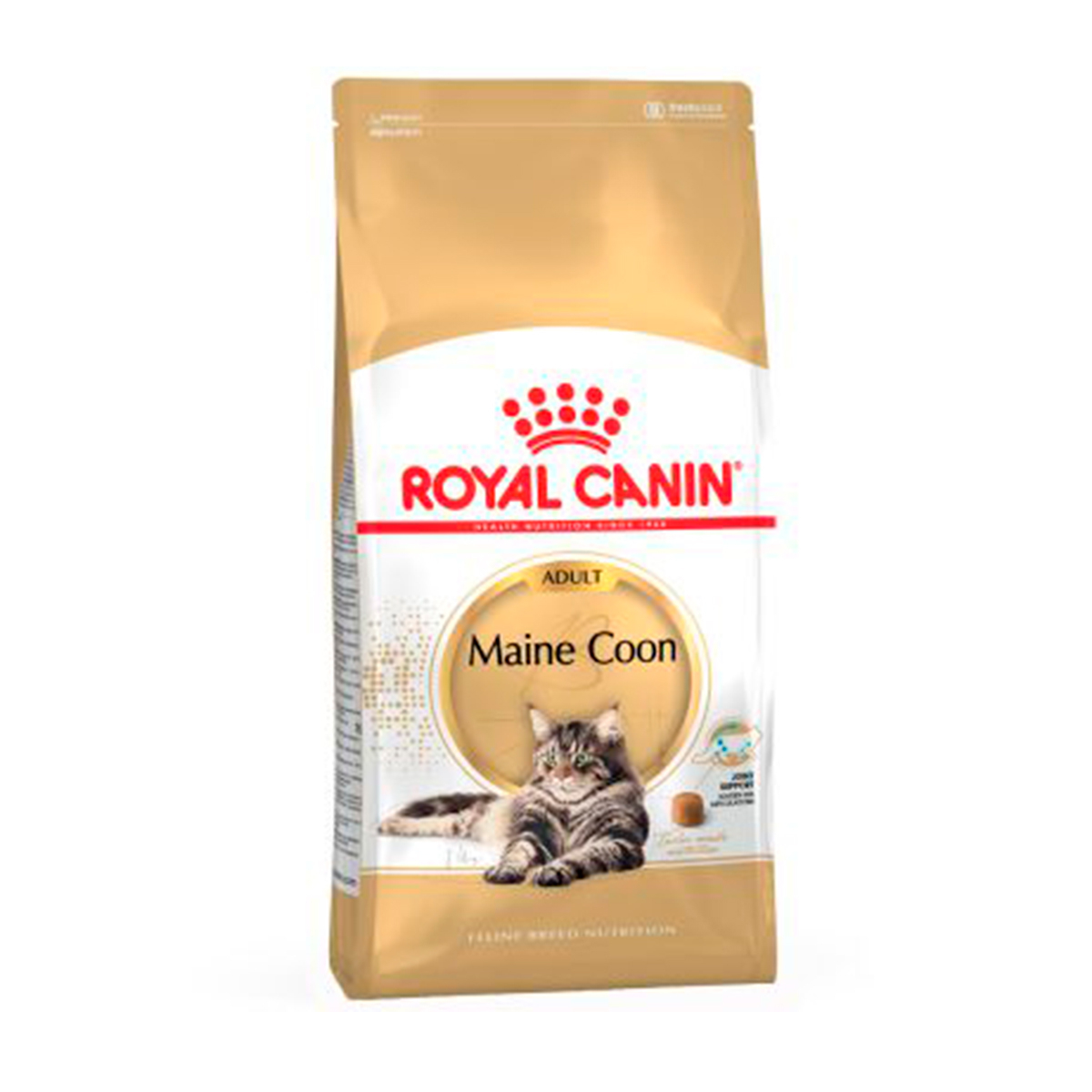 MAINE COON ADULT