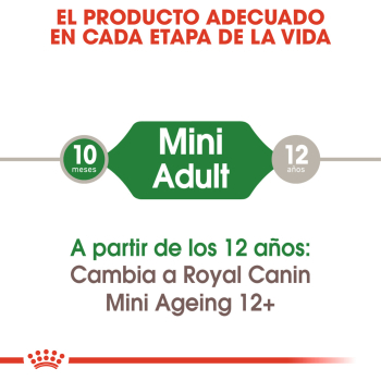 MINI ADULT CAJA 12U - 4