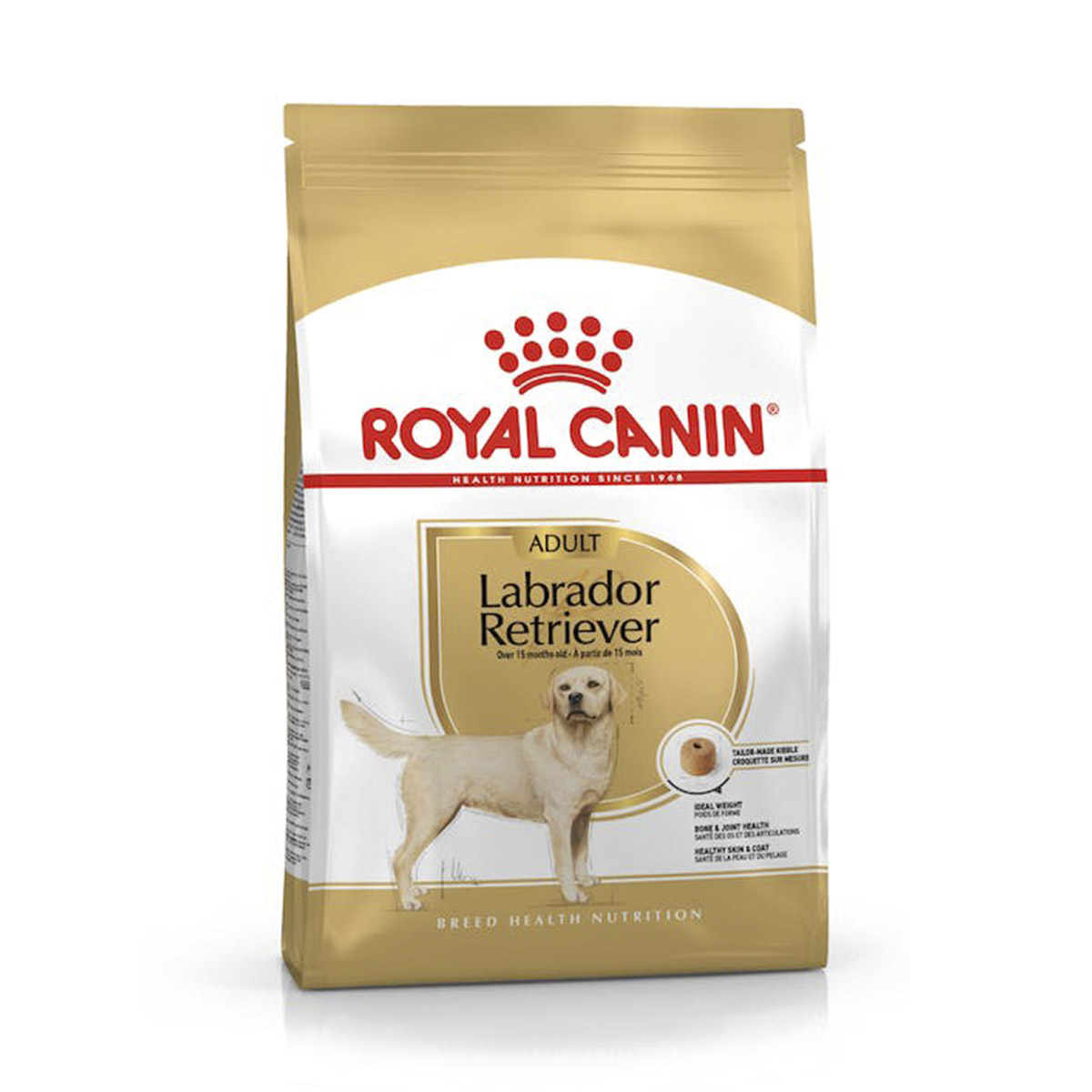 LABRADOR RETRIEVER ADULT