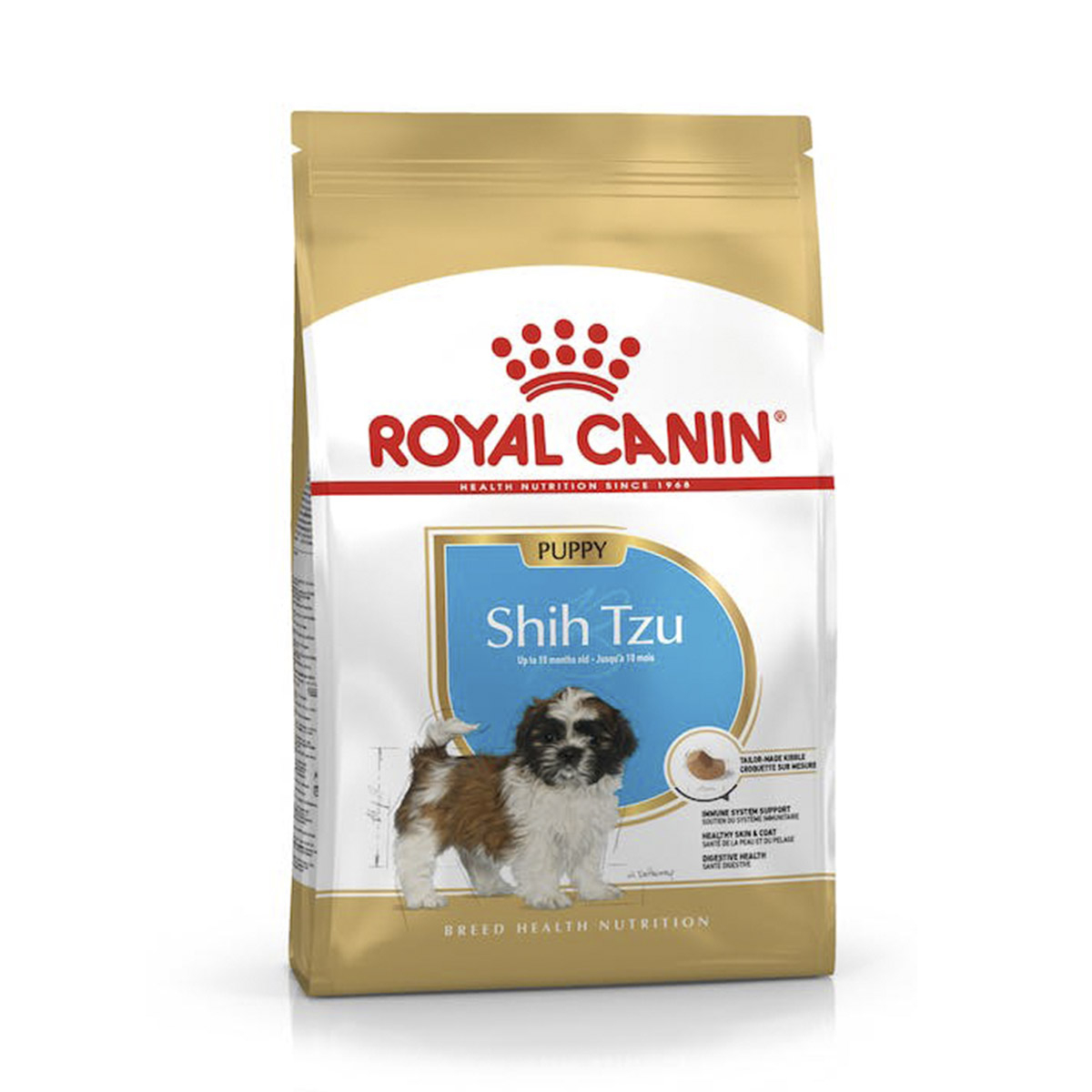 SHIH TZU JUNIOR