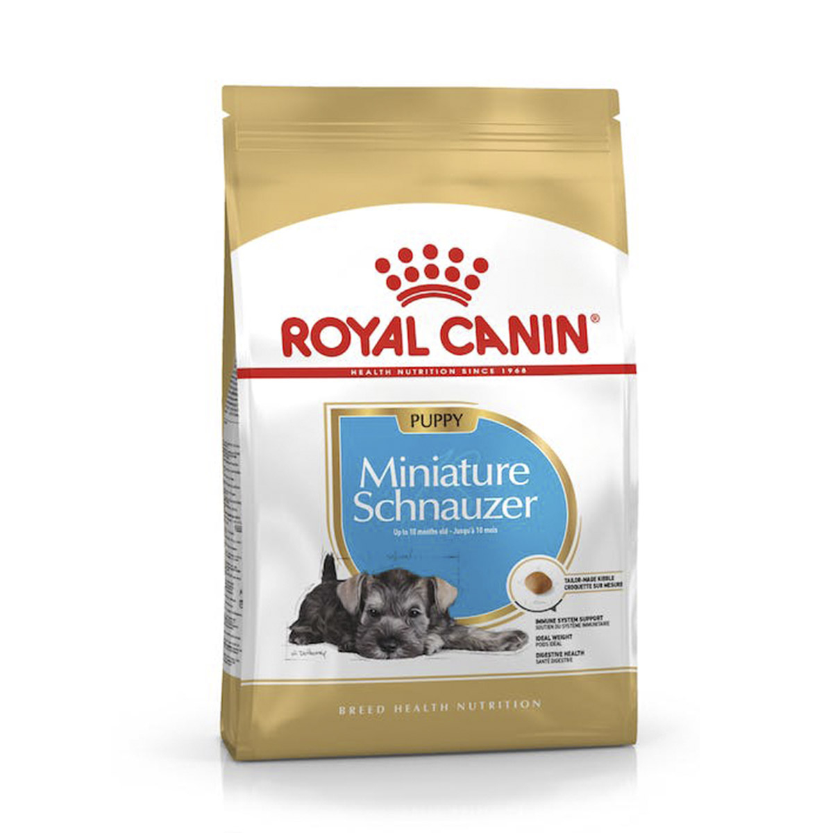 MINIATURE SCHNAUZER JUNIOR