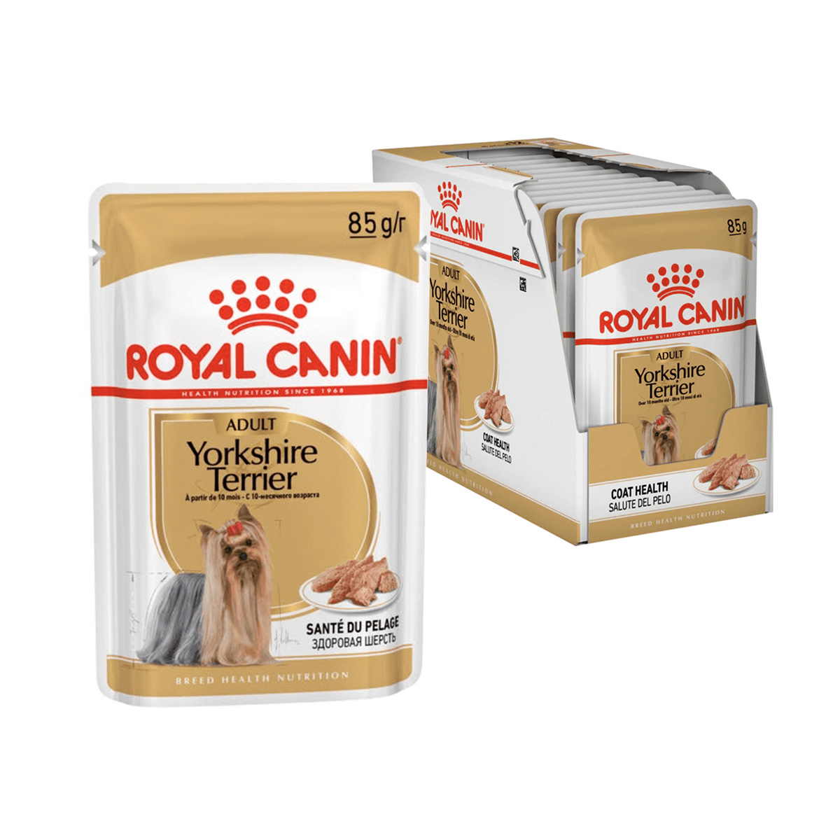 YORKSHIRE TERRIER SOBRE CAJA 12U
