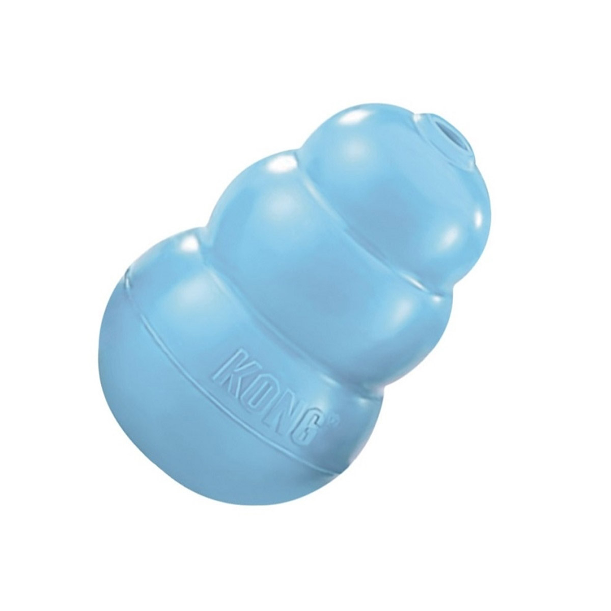 KONG PUPPY