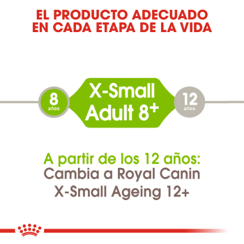 X-SMALL ADULT +8 - 3