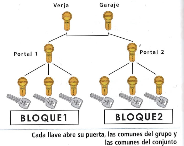 Amaestramiento de cilindros tipo grupos con comunes