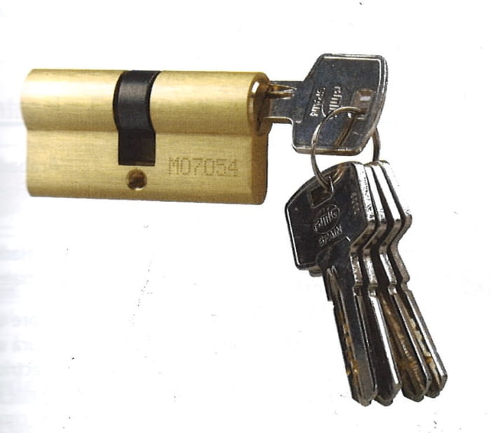 Cilindro de seguridad con leva larga serie 15000 AMIG