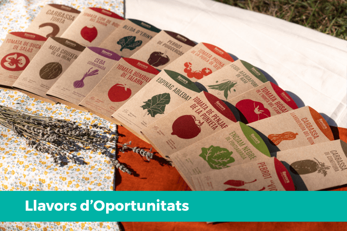 Projecte Llavors d'Oportunitats