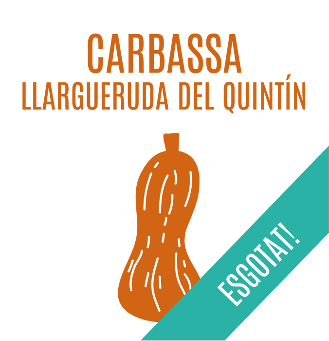 Carbassa llargueruda del Quintín