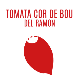 TOMATA COR DE BOU