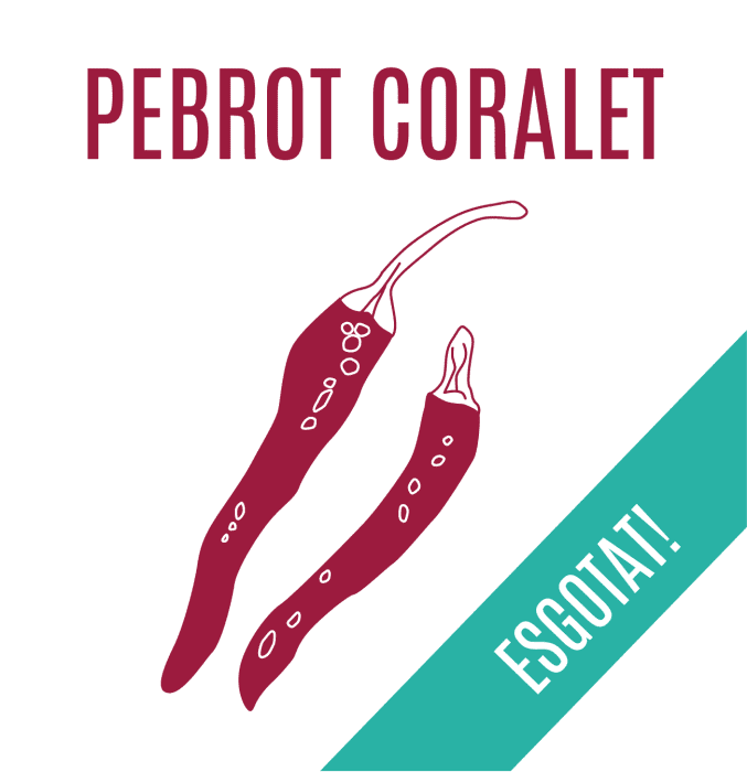 Pebrot coralet