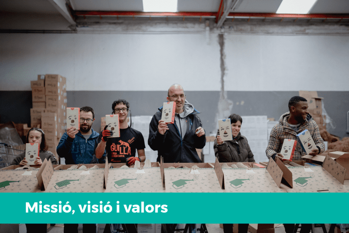 Missió, visió i valors