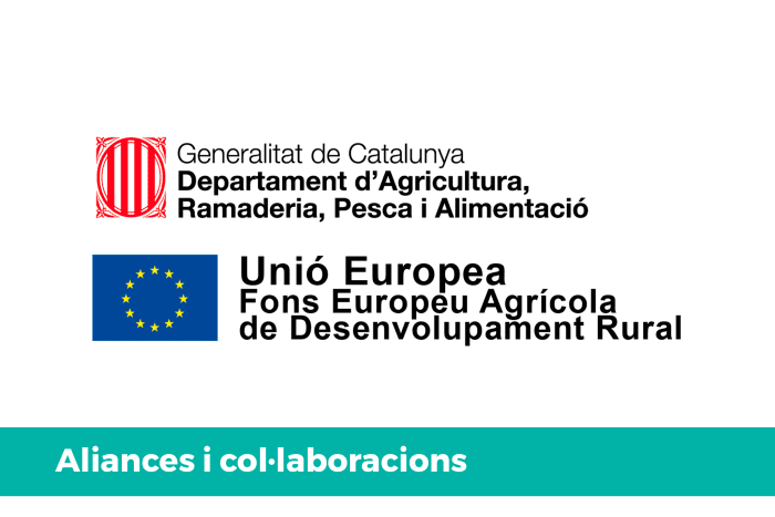 Aliances i col·laboracions