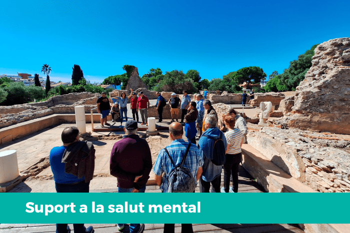 Suport a la salut mental