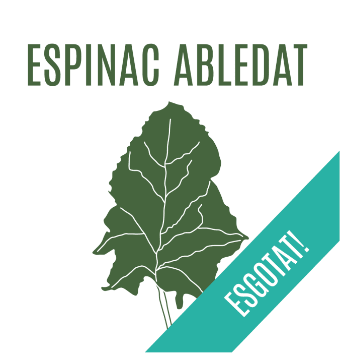 Espinac abledat