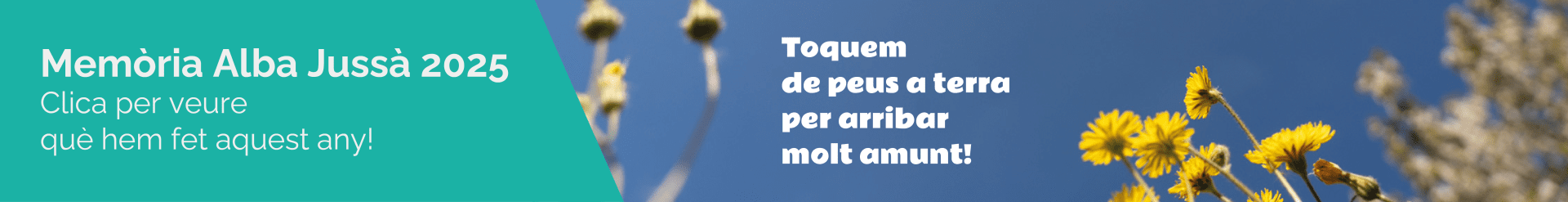 Banner memòria Alba Jussà_ordinador