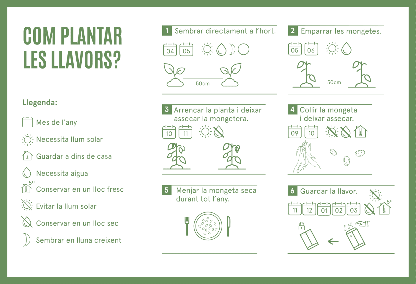 Com plantar el Fesol Afartapobres