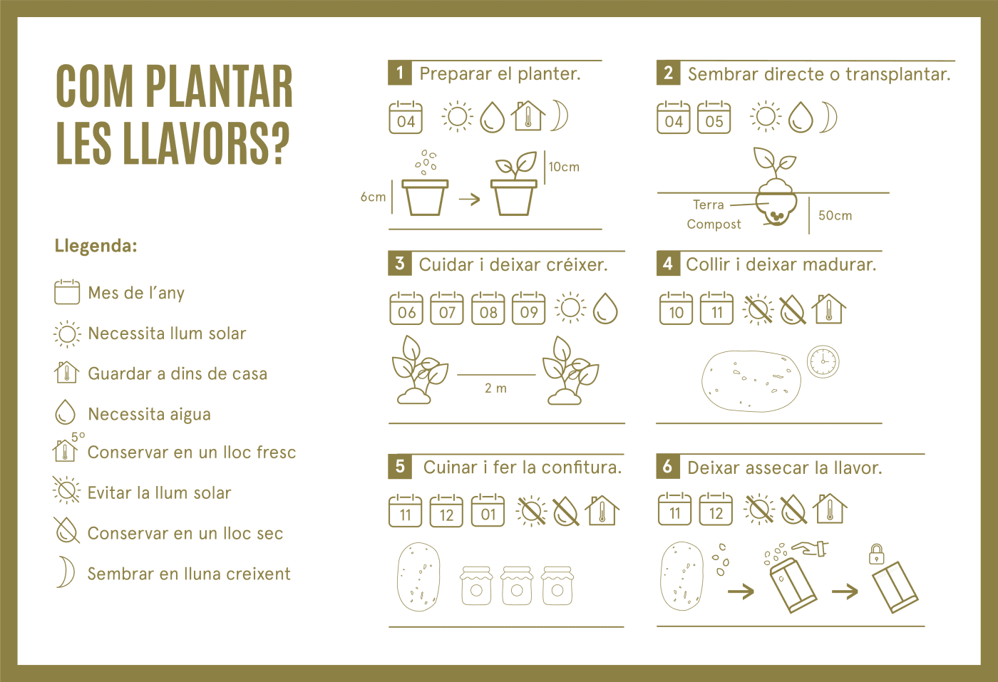 Com plantar carbassa confitura