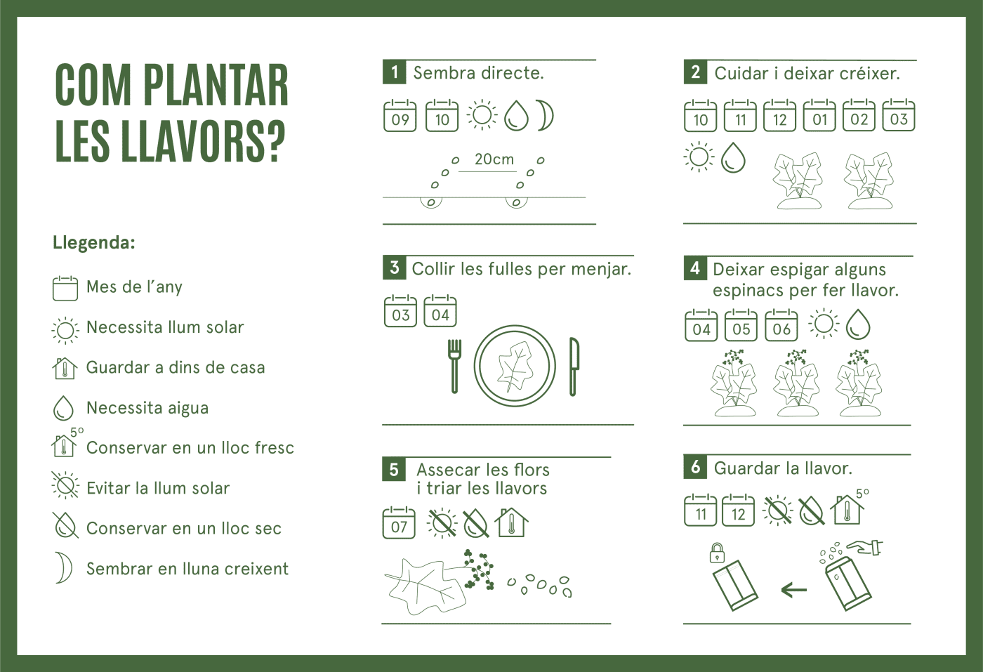 com plantar espinac abledat