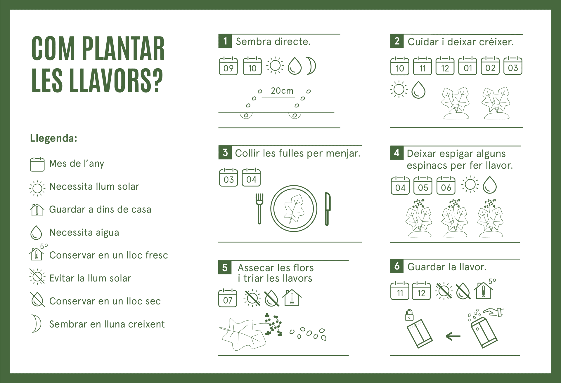 com plantar espinac abledat