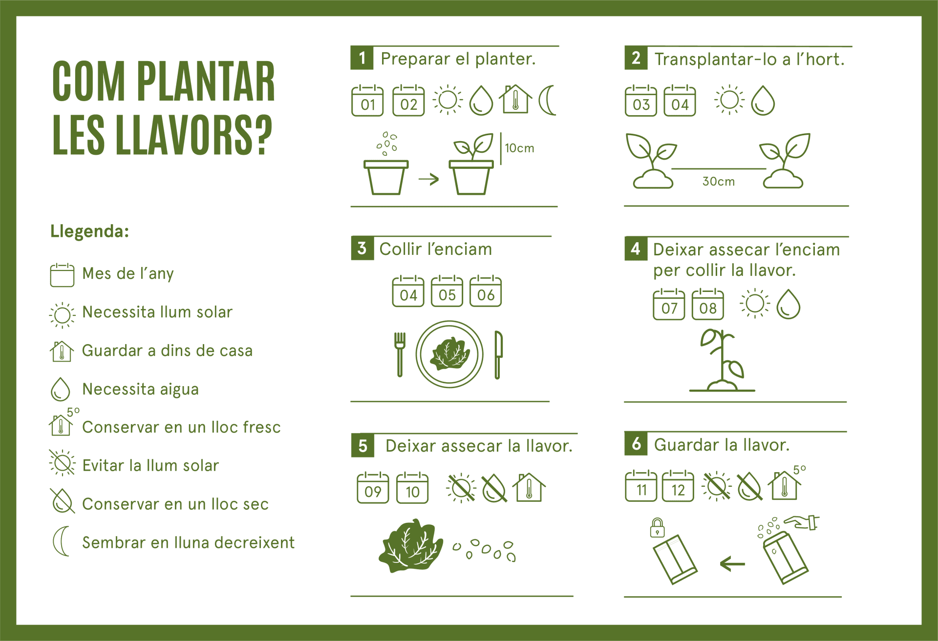 Com cultivar enciam negre
