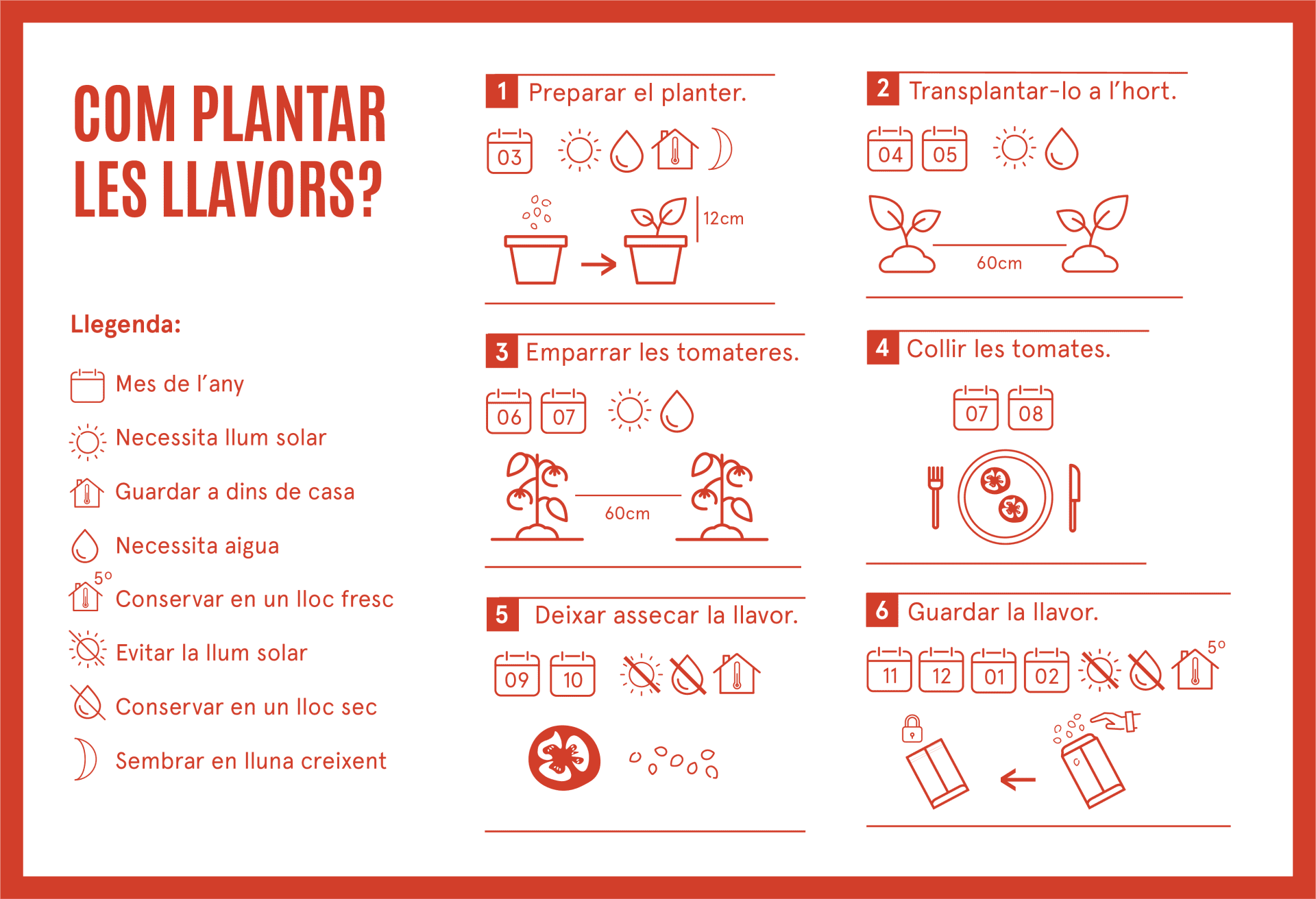 Com cultivar la tomata de sucar de Salàs