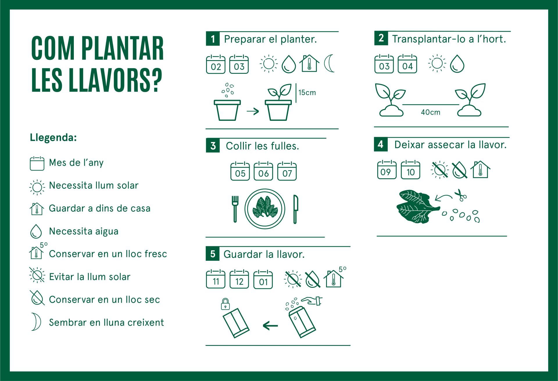 com cultivar la bleda