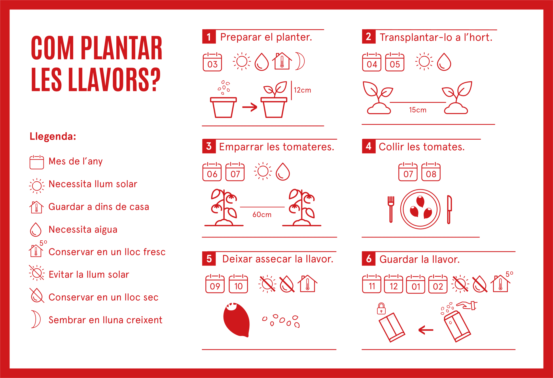 Com plantar tomata cor de bou