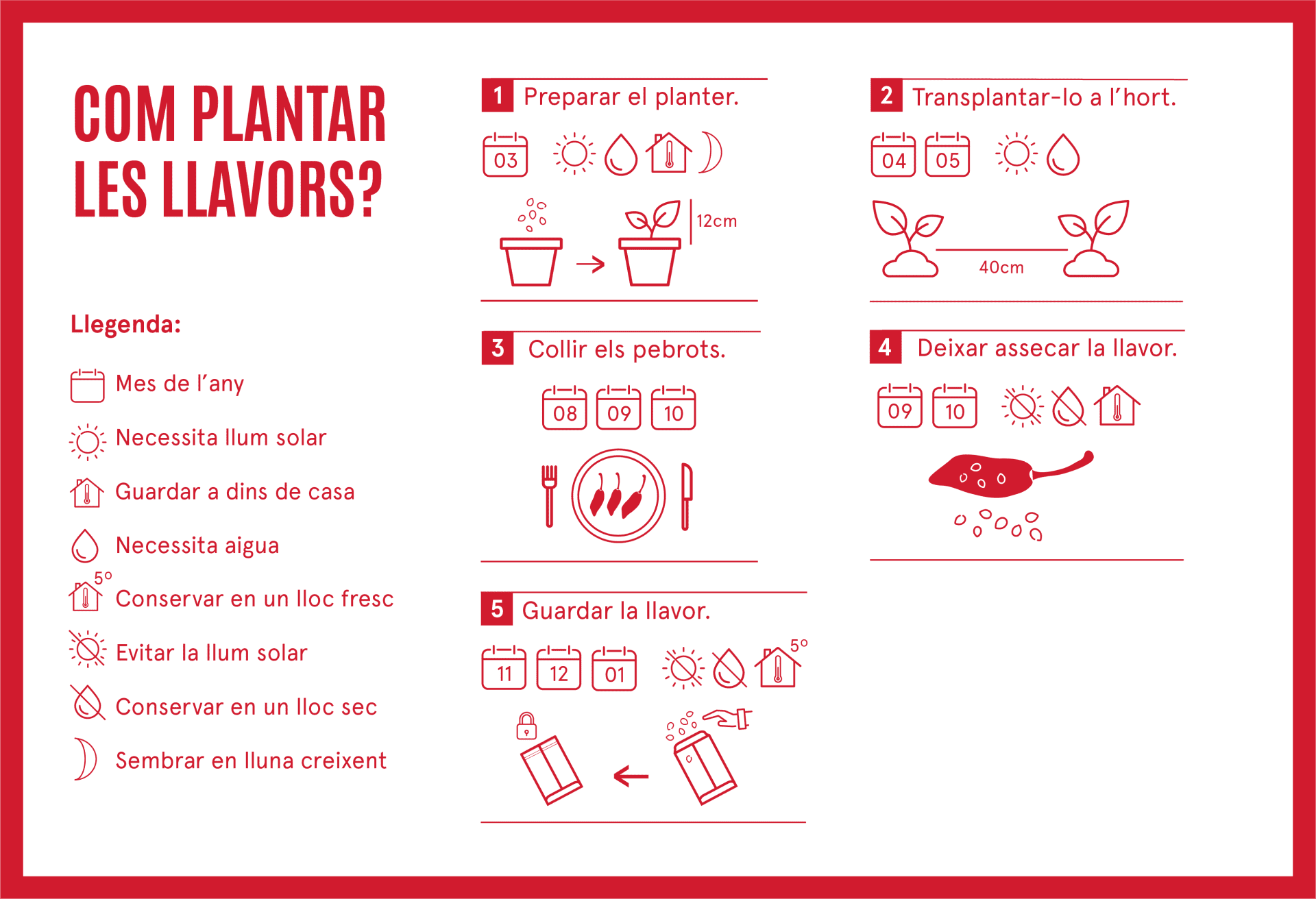 com cultivar el pebrot vicho