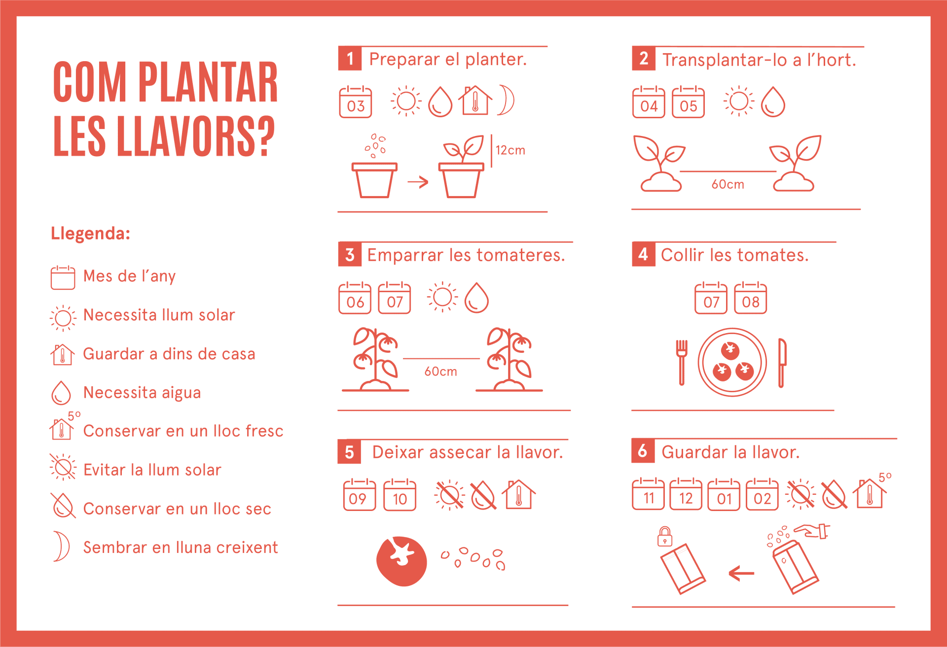 Com cultivar la tomata pruna