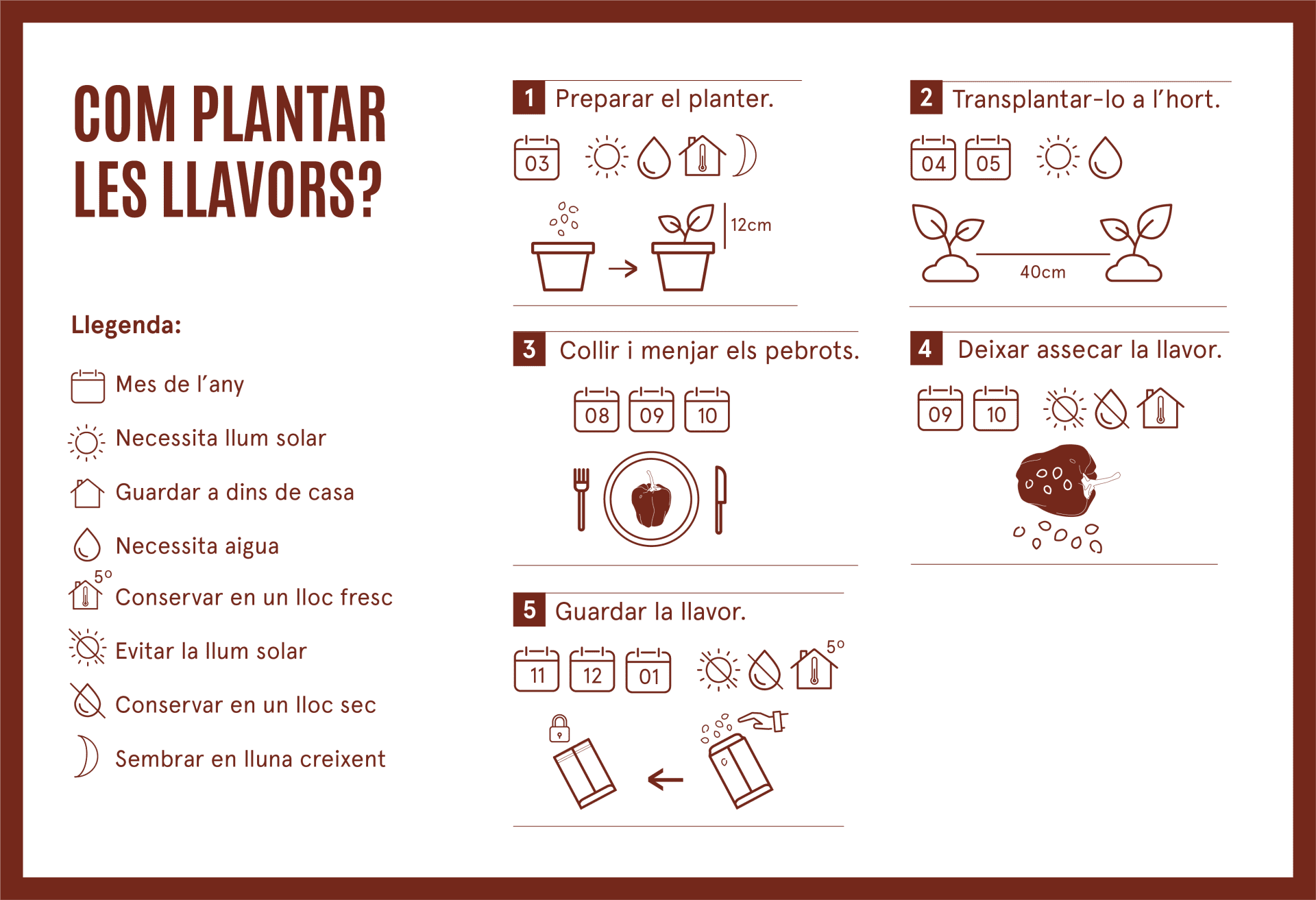 Com plantar pebrot puigcercos