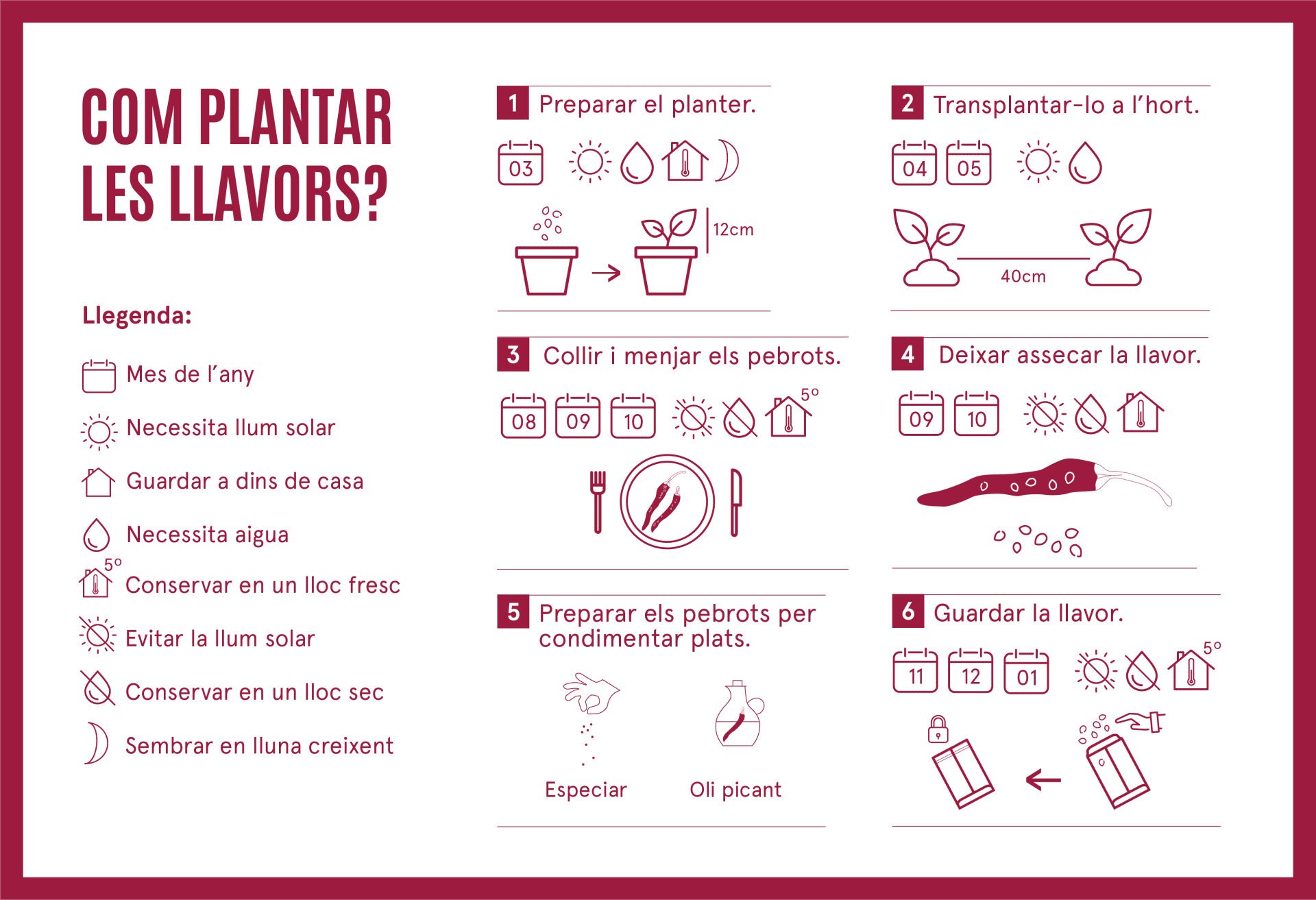 Com plantar pebrot coralet