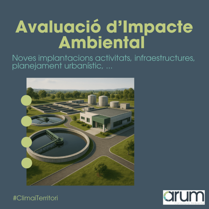 ¿QUÉ ES LA EVALUACIÓN DE IMPACTO AMBIENTAL?