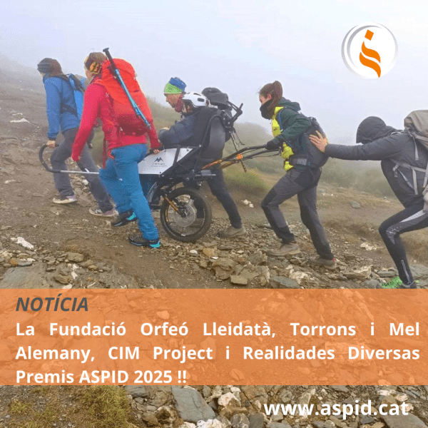 La Fundació Orfeó Lleidatà, Torrons i Mel Alemany, CIM Project y Realidades Diversas, Premios ASPID 2025