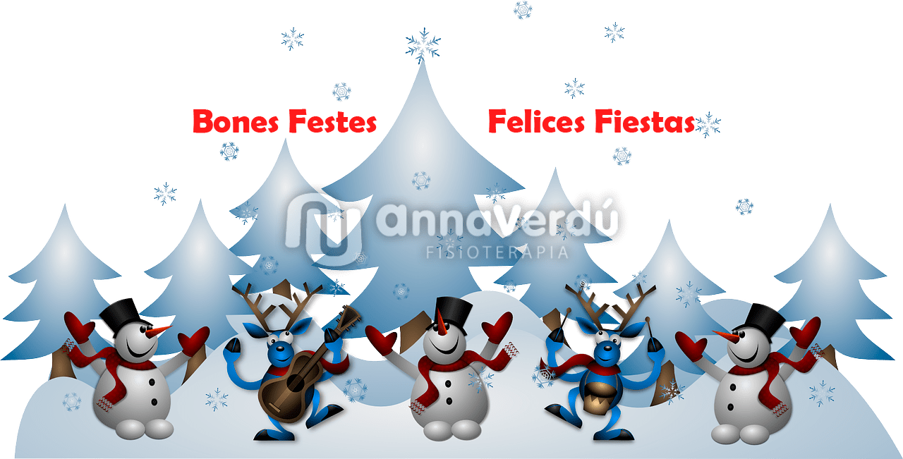 AV Fisioteràpia, us desitja molt bones festes!