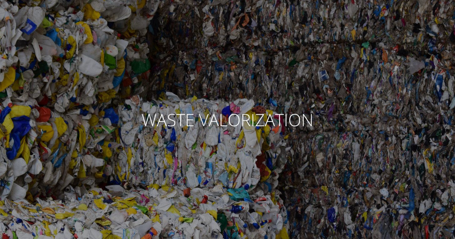 ENG_waste valorization