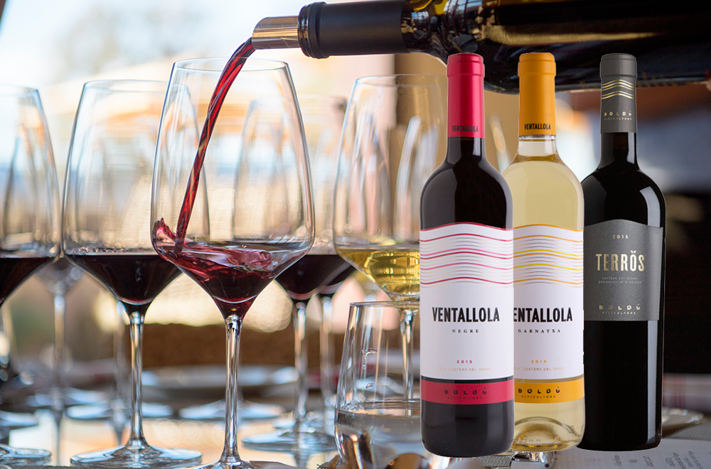 Vins del celler boldú viticultors