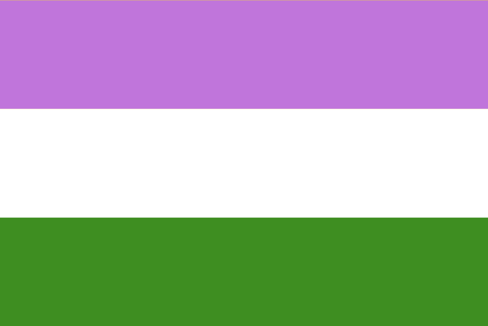 Bandera queer