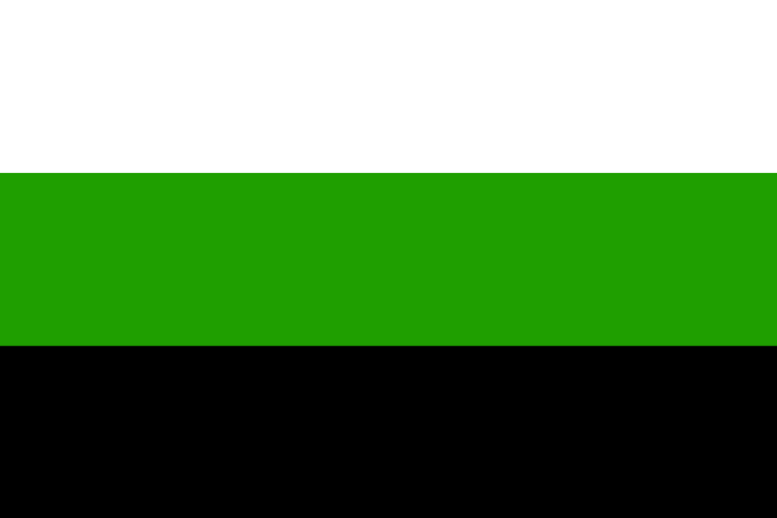 Bandera gènere neutre