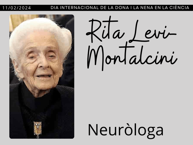 Rita Levi