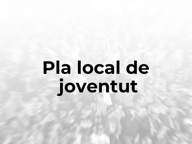Pla local de joventut 2021-2025